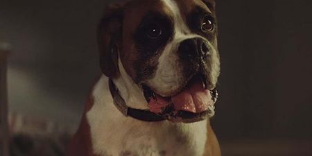 A famous face is reportedly set to star in this year’s John Lewis Christmas advert