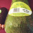 You can buy an ‘Avozilla’ in Tesco from tomorrow and we’re fairly intrigued, tbh