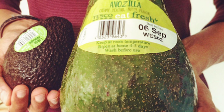 You can buy an ‘Avozilla’ in Tesco from tomorrow and we’re fairly intrigued, tbh