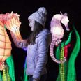 Wild Lights in Dublin Zoo will not go ahead tonight due to Met Eireann warning