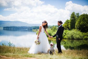 5 ways that you can include your pet in your wedding day