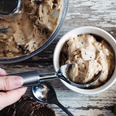 You can make this vegan peanut butter chocolate chunk ice cream in MINUTES