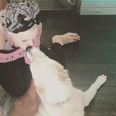 Pink pays the sweetest tribute after her dog, Frangelica, dies