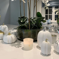This is where you can buy Pippa O’Connor’s ceramic pumpkins for Halloween