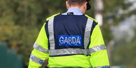 Gardaí appeal for witnesses of alleged sexual assault in Dublin on Sunday