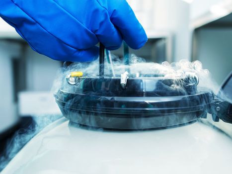 Here's exactly how a woman has her eggs frozen and how much it costs
