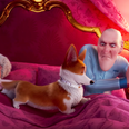 The trailer for ‘The Queen’s Corgi’ gives an insight into the future of Buckingham Palace