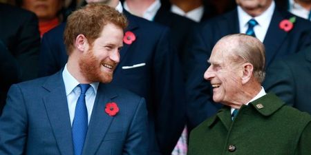 Prince Harry is the spitting IMAGE of Prince Philip in this major throwback picture