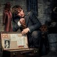 The Harry Potter throwback you may have missed in Fantastic Beasts 2