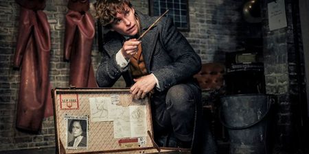 The Harry Potter throwback you may have missed in Fantastic Beasts 2