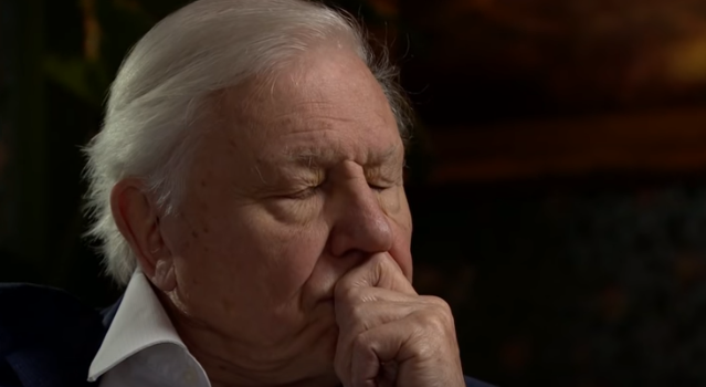 David Attenborough revealed he cried over latest 'Dynasties' episode and ALL the feels