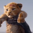 Disney has shared the first look at the live-action version of The Lion King