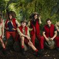 Personality Test: Which I’m A Celeb contestant are you?