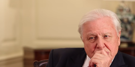 David Attenborough is appealing for help for ‘the defining issue of our time’
