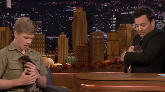 Criiiikey! Robert Irwin brought some adorable baby otters on the Jimmy Fallon Show