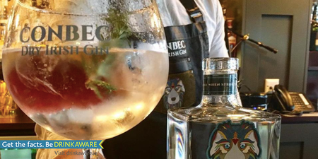 There’s an all-new Irish Gin hitting shelves and it packs an extra punch!