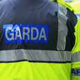 Dublin teenager dies after severing her artery on a broken bottle