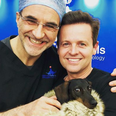 Dec’s dachshund treated by Supervet Noel Fitzpatrick after ‘silly sausage hurt his back’