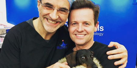 Dec’s dachshund treated by Supervet Noel Fitzpatrick after ‘silly sausage hurt his back’