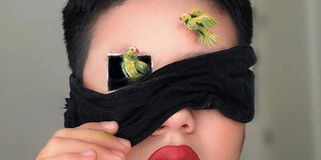 Bird Box inspired makeup looks are here to confuse us just like the movie