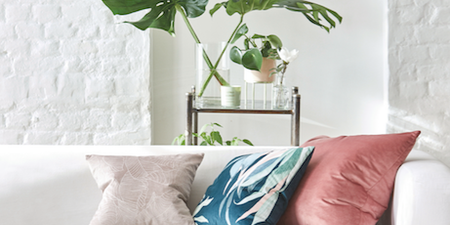 Go! The one item EVERYONE will want from the latest Penneys homeware collection