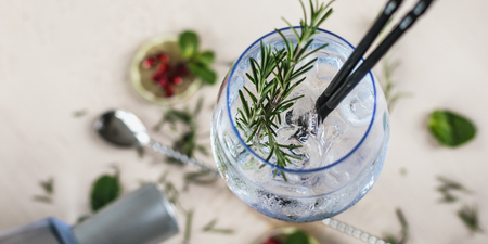 Drinking a G&T can speed up your metabolism, according to research