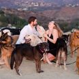 This lovely man proposed to his girlfriend with the help of 16 very lovely dogs