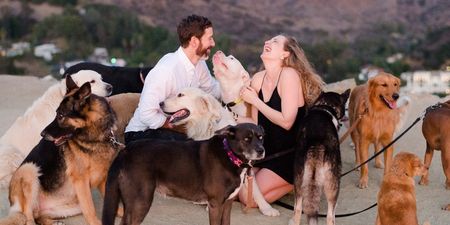 This lovely man proposed to his girlfriend with the help of 16 very lovely dogs