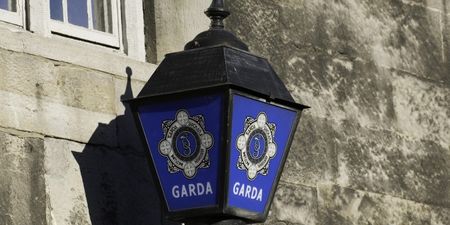 An Irish sports star was arrested last night following allegations of rape