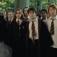 This Harry Potter screening in Cork has a big twist and looks set to be unmissable