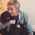 Can dogs sense if you’re pregnant? Judging from Gemma Atkinson’s latest pic people seem to think so