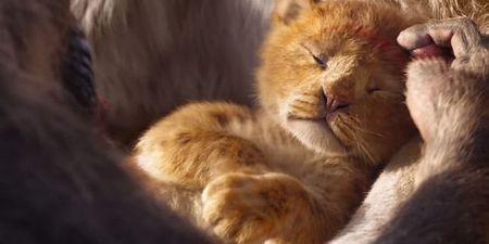 There’s a new Lion King remake trailer and the release date has just been confirmed