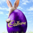 Hunt for the chocolate Easter egg and you could WIN yourself a €250 One4all voucher