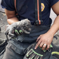 Newborn puppy recovering after ‘terrifying ordeal’ of being trapped in drainpipe