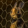 Watership Down is on Netflix this weekend if you fancy being traumatised