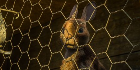 Watership Down is on Netflix this weekend if you fancy being traumatised