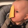People are throwing cheese slices at their babies’ heads and it’s dividing parents