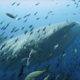 The new trailer for Blue Planet just dropped and we’re so excited to watch it