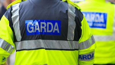 Gardaí appeal for help in finding 19-year-old girl missing from Wexford