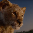 Disney has released the full trailer for the live action remake of The Lion King