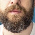 Study finds that men with larger beards have smaller testicles