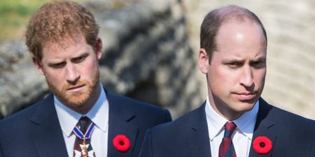This is why Prince Harry and Prince William don’t work together anymore
