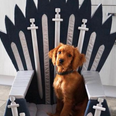 You can buy Game of Thrones pet beds shaped like the Iron Throne