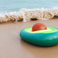 PSA to all millennials: You can now get an avocado pool float with a removable pit