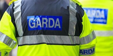 A man and a 5-year-old boy have died following a road crash in Offaly