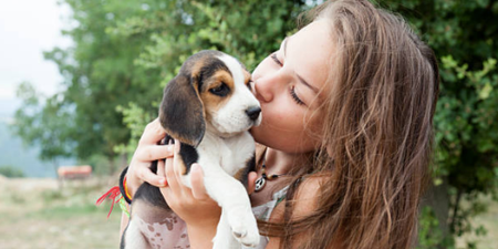 Bad news klaxon! Kissing your pet on the mouth may be damaging your health