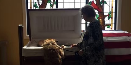 Dog says goodbye to owner at funeral proving he is, indeed, man’s best friend