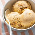 Insect ice cream created by scientists in a bid to introduce more sustainable protein diet