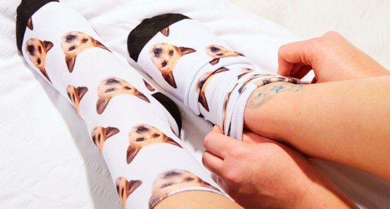 Get your outlet pet on socks