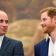 Royal commentator points out ‘obvious’ problem with Prince William and Prince Harry